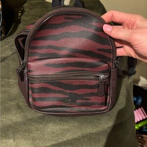 Coach Women's mini Zebra Print Backpack - Black and Burgundy